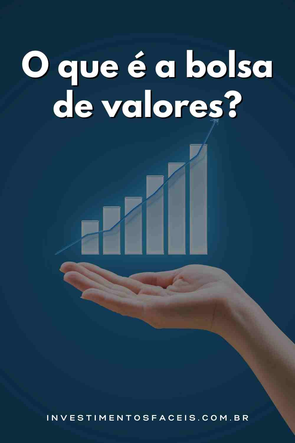 O que é a bolsa de valores?